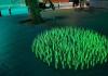 MIT created luminous plants: environmental lighting of the future