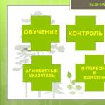 Φαρμακευτικά φυτά της Σιβηρίας