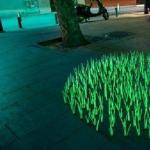 MIT created luminous plants: environmental lighting of the future