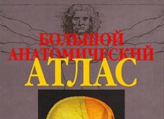 Первый в россии анатомический атлас николая ивановича XVII век: от кругов кровообращения до врачей Петра Великого