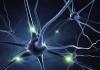 Неврология: каква е тази наука и какво изучава?