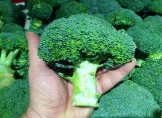 What to cook with broccoli