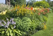 Making flowerbeds at the dacha with your own hands: basic rules and planting schemes How to design a small flowerbed near the house