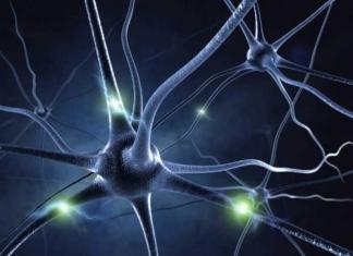 Νευροεπιστήμη: τι είναι αυτή η επιστήμη και τι μελετά;