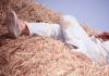 Secrets of dreams: why do you dream about hay?
