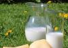 Θερμιδική περιεκτικότητα γάλακτος και γαλακτοκομικών προϊόντων